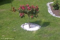 Dalsze_miejsca_[07].jpg